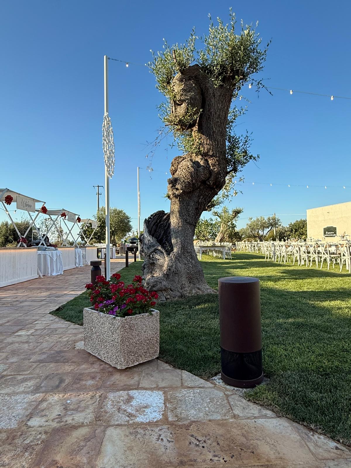 Garvan SN 220 CORTEN