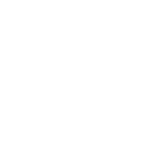 vestel